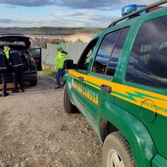 Recuperato dai volontari dell'ANPANA un cane ferito sulla SS93 Canosa-Loconia