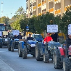 Protesta degli agricoltori anche a Canosa