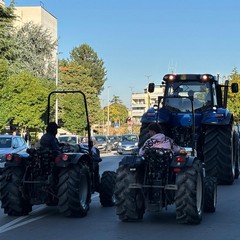 Protesta degli agricoltori anche a Canosa