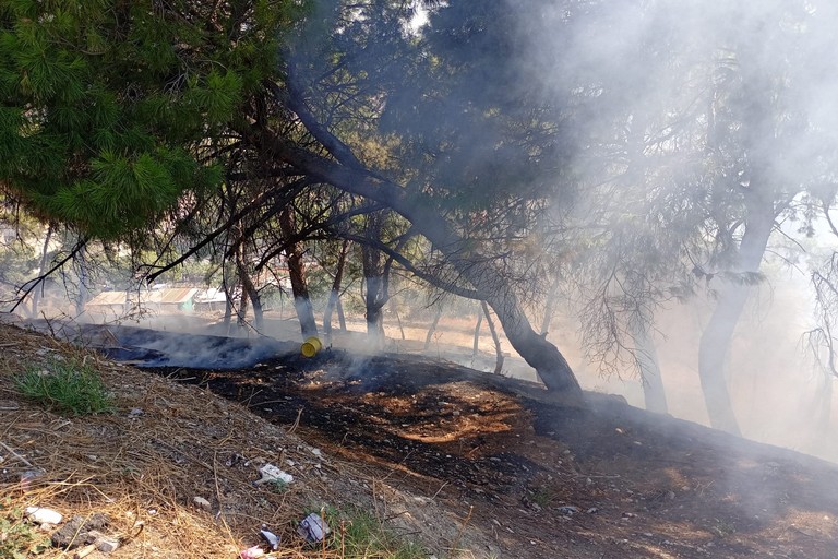 Incendio sulla pineta del Castello: in corso le operazioni di bonifica