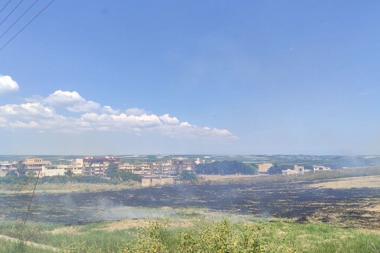 Sterpaglie e vegetazione a fuoco in via Barletta e via Roosevelt