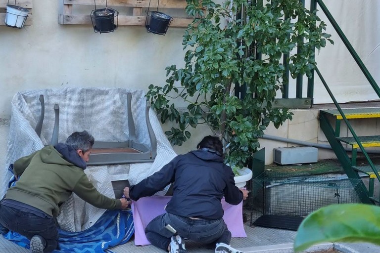 I volontari di LNDC Canosa di Puglia salvano un gattino nero