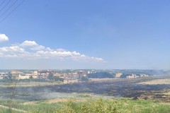 Sterpaglie e vegetazione a fuoco in via Barletta e via Roosevelt