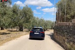 Latitante catturato dai Carabinieri a Canosa. Era nascosto in una villa con piscina