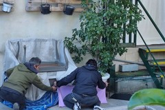 I volontari di LNDC Canosa di Puglia salvano un gattino nero nella villa comunale