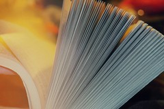 A Canosa parte il progetto "Mamma Lingua. Storie per tutti, nessuno escluso"