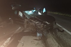 SS93 Canosa- Loconia, auto contro cinghiale: fortunatamente illeso il conducente