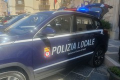 La Riforma Cartabia al Centro della formazione della Polizia Locale