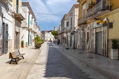 Gira armato con il coltello in corso San Sabino, interviene la Vegapol