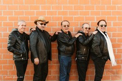 I “Dik Dik” in concerto a Canosa giovedì 1 ottobre in Corso Garibaldi