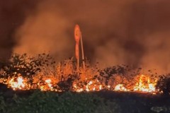 Ancora fiamme a Canosa: ieri sera incendio alle porte della città sulla SP2