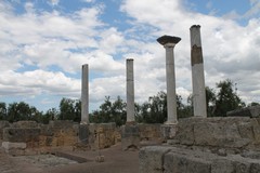 All'Evolio Expo il talk dedicato a Canosa di Puglia