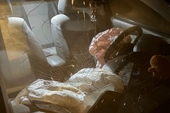 Veicolo contro tre cinghiali sulla SP2: ferito l’automobilista