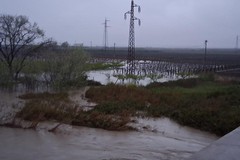 Maltempo, fiume Ofanto in piena: acqua invade terreni circostanti