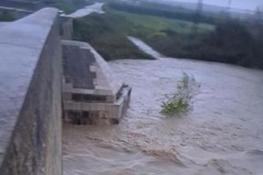 Ofanto in piena, chiude la SP2 (ex SP231) direzione Canosa