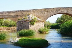 Un finanziamento di 2,3 milioni per la riqualificazione del fiume Ofanto: Canosa Comune capofila del progetto