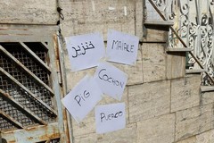 Getta la spazzatura per strada, un cittadino lo appella “maiale” in diverse lingue