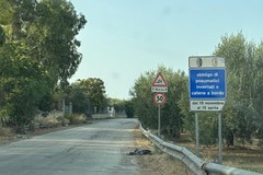 SP21 “Salinelle”, 740 mila euro per la messa in sicurezza
