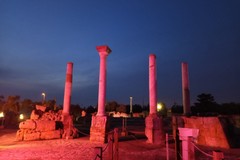 Canosa aderisce alla Giornata Nazionale del Fiocchetto Lilla illuminando il sito archeologico di “San Leucio”