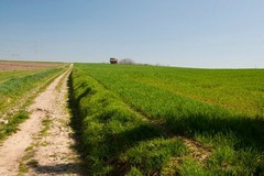 Innovazione nelle campagne pugliesi: «Droni e sensori contro i cambiamenti climatici»