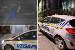 Notte di tentati furti nella BAT: interventi della Vegapol sventano i colpi