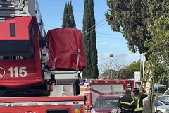 Cimitero Comunale, Vigili del Fuoco mettono in salvo un gattino bloccato su un cipresso