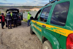 Recuperato dai volontari dell'ANPANA un cane ferito sulla SS93 Canosa-Loconia