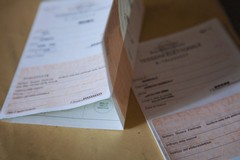 Referendum sulla Giustizia 2026, affluenza ore 12: a Canosa ha votato il 9,15 %