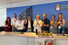 Presentata presso il Consiglio Regionale della Puglia la Sagra della Percoca nella frazione di Loconia