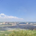 Sterpaglie e vegetazione a fuoco in via Barletta e via Roosevelt
