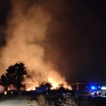Ancora incendi a Canosa: fiamme alle spalle dell’ex Macello in via San Paolo e sulla SP231