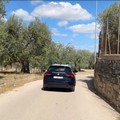 Latitante catturato dai Carabinieri a Canosa. Era nascosto in una villa con piscina