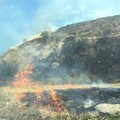 Incendio sulla collina di via Balilla e via Falcone direzione zona 167