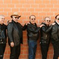 I “Dik Dik” in concerto a Canosa giovedì 1 ottobre in Corso Garibaldi