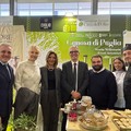 L’EVOLIO Expo come occasione per raccontare il territorio attraverso l’olio
