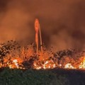 Ancora fiamme a Canosa: ieri sera incendio alle porte della città sulla SP2
