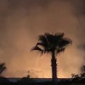 Incendio a Canosa nelle vicinanze del sito archeologico di Pietra Caduta, in zona Costantinopoli