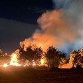 Sterpaglie a fuoco in zona San Leucio
