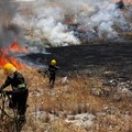 Vasto incendio in zona Cefalicchio nelle campagne di Canosa