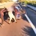 Tir assaltato sull’A14 in territorio di Canosa, arrestati i responsabili