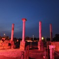 Canosa aderisce alla Giornata Nazionale del Fiocchetto Lilla illuminando il sito archeologico di “San Leucio”