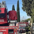 Cimitero Comunale, Vigili del Fuoco mettono in salvo un gattino bloccato su un cipresso