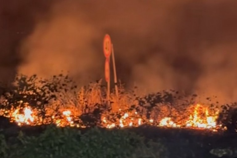 Ancora fiamme a Canosa: ieri sera incendio alle porte della città sulla SP2