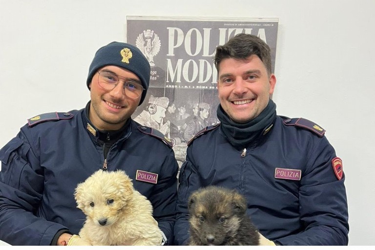 Agenti della Polizia di Stato di Canosa salvano due cuccioli sulla SS 231