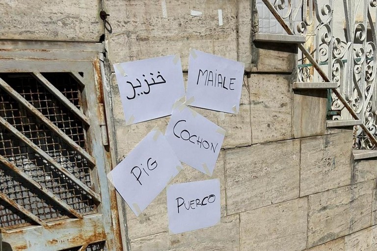 Getta la spazzatura per strada, un cittadino lo appella “maiale” in diverse lingue