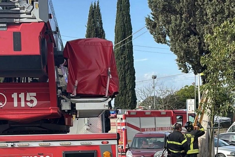 Cimitero Comunale, Vigili del Fuoco mettono in salvo un gattino bloccato su un cipresso